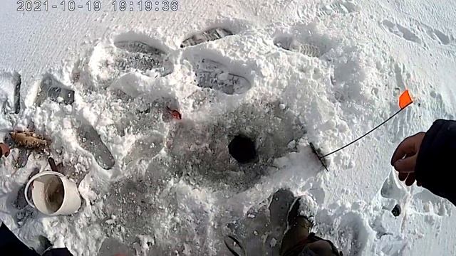 НЕЗАПЛАНИРОВАННАЯ РЫБАЛКА ОКАЗАЛАСЬ УДАЧНОЙ. ЗАПУСКАЕМ ЩУКУ В НОВЫЙ ВОДОЁМ. смотреть онлайн