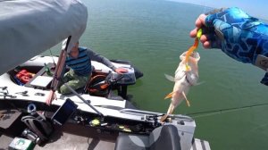 ХОРОШИЙ окунь, ребята!) Бешеный клев крупного окуня на Веселовском водохранилище. Рыбалка в июне 22