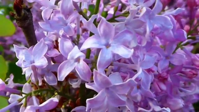 ОСЕНЬ Автор и исполнитель Анатолий Кулагин смотреть онлайн