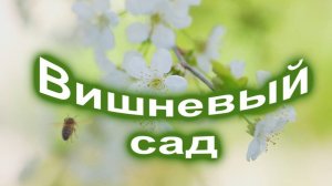 Вишнёвый сад- С. Одинцов_ cover от С. Трандафилова