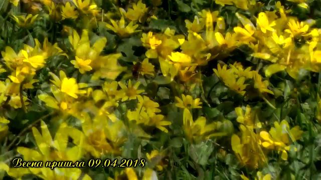 Зарисовка "Весна пришла!" смотреть онлайн