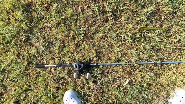 Back at it like a crack addict смотреть онлайн