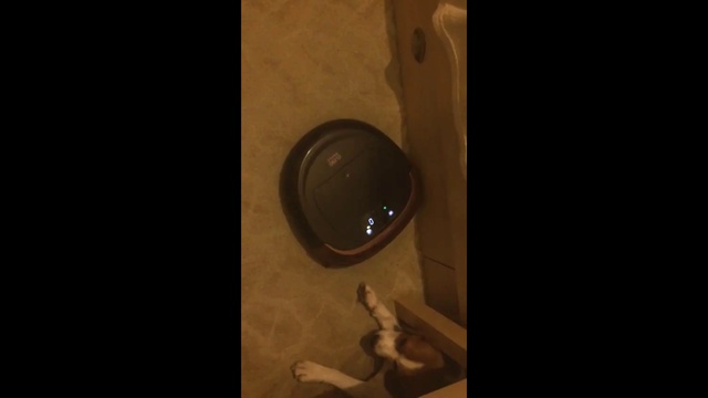 Робот-пылесос. Отзыв ,ребенок, собака смотреть онлайн