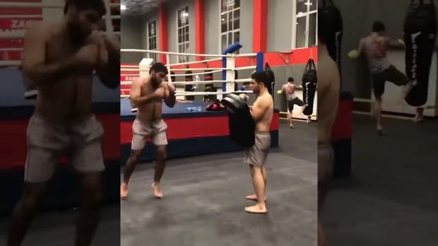 ELMAR SADIKOV Akhmat KickBoxing ??