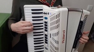 Популярные Застольные Песни на Аккордеоне/ Аккордеонист Баянист