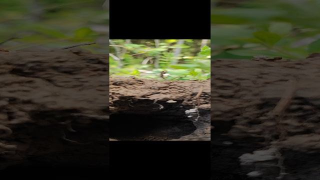 чей-то дом