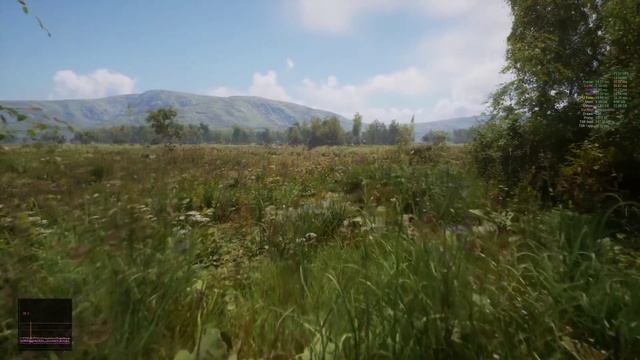Unreal Engine 5.3 - MAWI - Most Realistic Realtime Forest Ever! #unrealengine #UE5 #gamedev