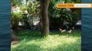 THE QUEST GUEST HOUSE 2* Индия Север Гоа обзор – отель ЗЕ КВЕСТ ГЕСТ ХАУС 2* Север Гоа видео обзор