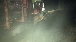 Один день в лесу.