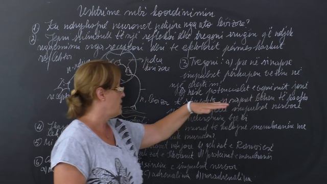 Koordinimi - Ushtrime смотреть онлайн