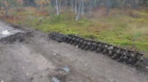 2 дня копа латунный радиатор и 700 кг траков!Металлокоп