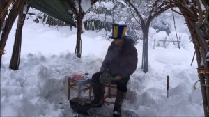 Живая беседка  из ивы зимой. Пятый год.