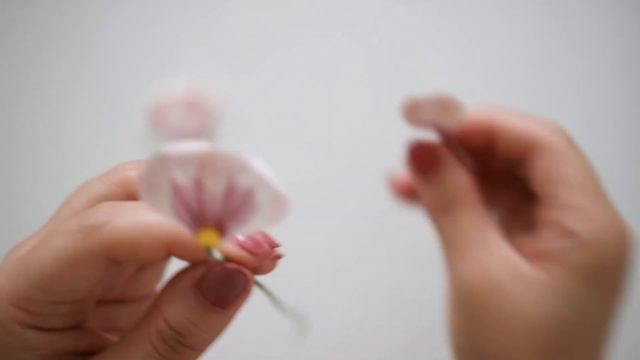 DIY Paper Pansy Flower Crafts (Cricut and Silhouette) смотреть онлайн