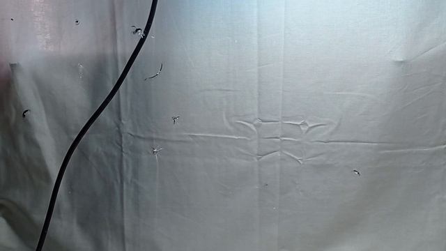 Показываю как сделать сколы на лобовом стекле - полезно для начинающих мастеров