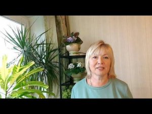 Цветы-антидепрессанты.Пересадка осенью Крупных драцены, кротона, шефлеры.Какие горшки лучше.