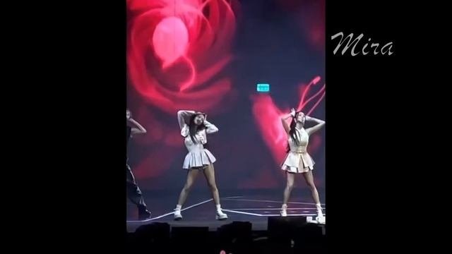 ЛЕНЬ BLACKPINK/Стало ли лучше?