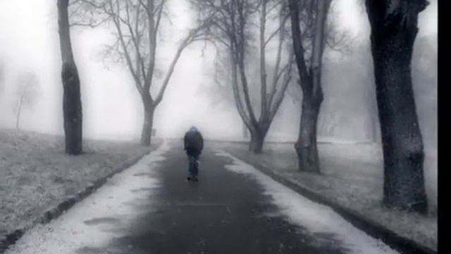 Берёзки белоствольные .Сергей Ивлев. Песня Бориса Прохорова. смотреть онлайн