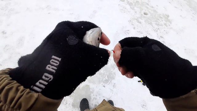 Взял ЩУКУ НА ЖЕРЛИЦУ. Наловили ОКУНЕЙ НА БАЛДУ смотреть онлайн