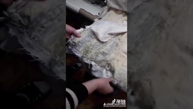 Что случилось с норковой шубой, когда её пытались постирать. ?????Серия видео (1 видео) смотреть онлайн