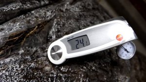 #7 Выращивание Шампиньонов. Мицелий В Компосте. Бизнес В Гараже