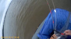 Рыбалка 2023, рыбалка на амуре сплавной сетью, Рыбалка на сети  по лицензии!