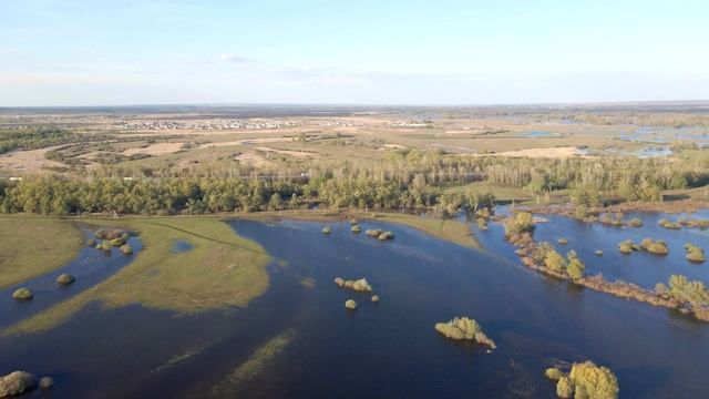 река Сок между Старосемейкино и с/т Сокские Зори (Самарская область, Красноярский район) 06.05.2021