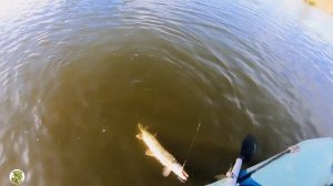 Спиннинг MIFINE DAYTON тест. Щукажор на Озере и Грязевые Ванны )