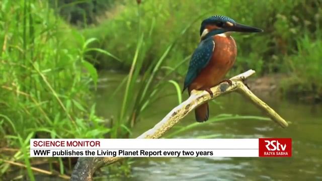 Science Monitor | 10.11.18 смотреть онлайн