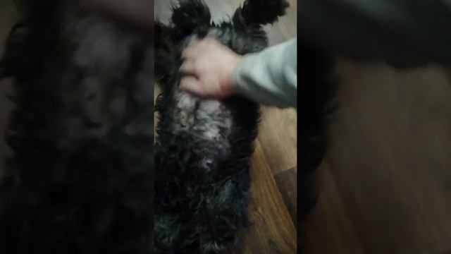 03.02.2021г.(5часть)Утро продолжается отлично! Удачного дня! +79241232444 Владимир Стороженко смотреть онлайн