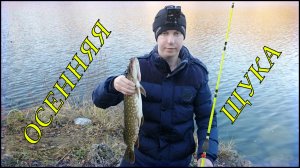 Осенние щуки на новый спиннинг. Продолжаем ловить зубастых в карьере