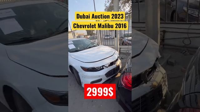 Dubai Auction 2023 - Malibu 2999$ - Model 2016 - #дубай #dubai #dubai2023 #дубай2023 #moscow