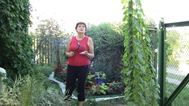 Кратко о канале смотреть онлайн