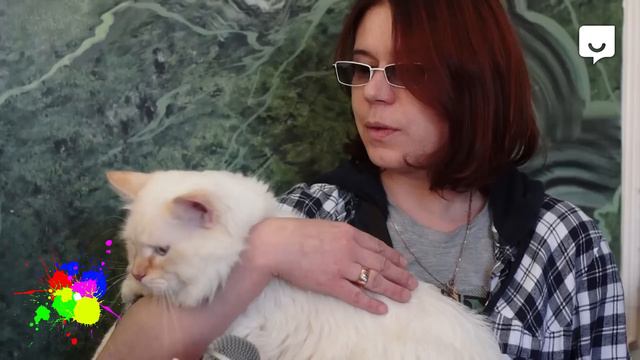 Выбирай-ТВ: Выставка кошек «Мяу Шоу» смотреть онлайн