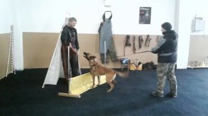 Маврик защита 1