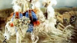 Зачем верблюду апельсин - Владимир Назаров