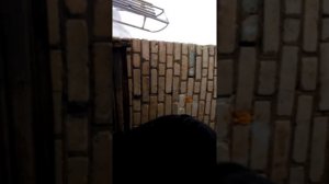 Бензопила Stihl MS211 Запуск после долгого простоя