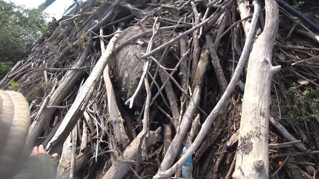 Ловил щуку, а поймал сома! смотреть онлайн