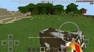 Дюп в майнкрафт bedrock Edition