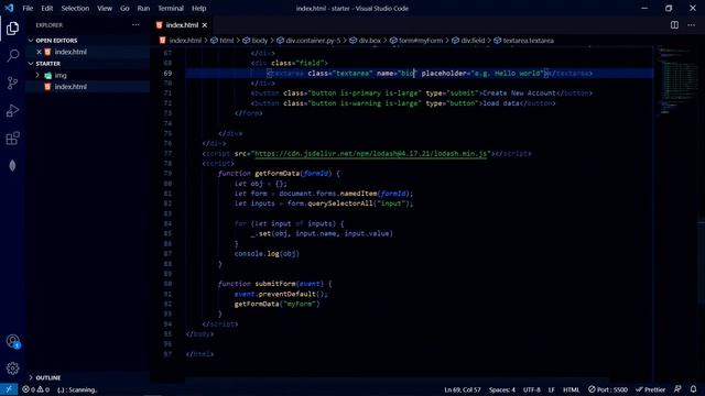 How to get & set form values of any Complex Form by using Lodash.js