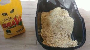 КОШАЧИЙ НАПОЛНИТЕЛЬ BRAVA СОСНОВЫЙ ТЕСТИРОВАНИЕ