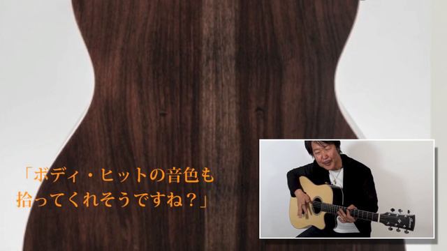 アコギブック49記事連動Ibanez FIngerstyle Collection