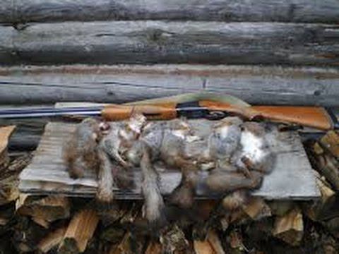 Как я "белковать"ходил...