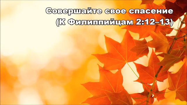 05.09.2015 Пусть Евангелие сделает своё дело (К Филиппийцам 2:12–18) смотреть онлайн