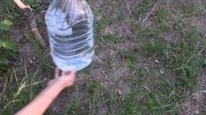 Капельный полив при помощи пластиковых бутылок