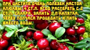 Лечим цистит пшеном и гусиным пером!