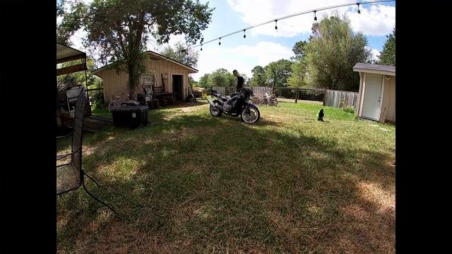 1991 CBR600 F2 restoration part 1 смотреть онлайн