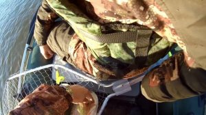 СПИННИНГ | РЫБАЛКА ЗА ТАРОЙ | ОМСКАЯ ОБЛ.