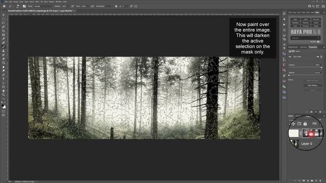 Adding Woodland Light Rays in Photoshop | Photoshop Tutorial