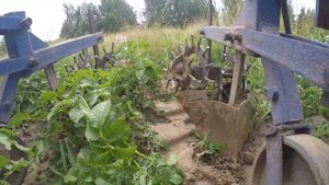 Т-40/ Последняя прополка/ Ежи огонь