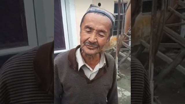 Ош ди муштдей муштдей хайдаркан ✊✊?? смотреть онлайн